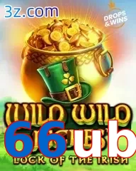 66ub